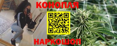 альфа пвп Аргун