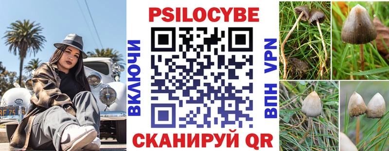 blacksprut ТОР  Дзержинский  Псилоцибиновые грибы Magic Shrooms 