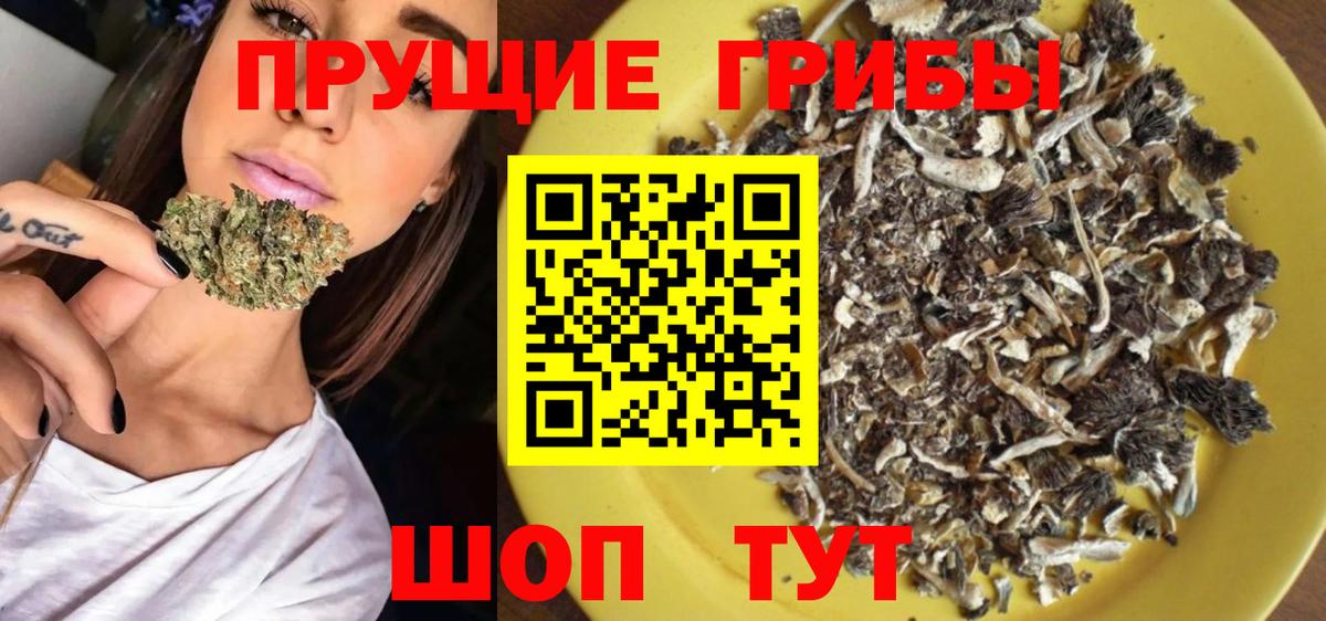 Галлюциногенные грибы Cubensis  Вход с VPN  Дзержинский 